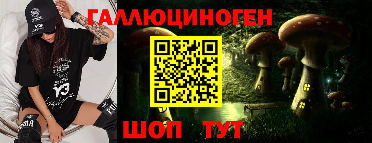 Псилоцибиновые грибы Psilocybe Арзамас